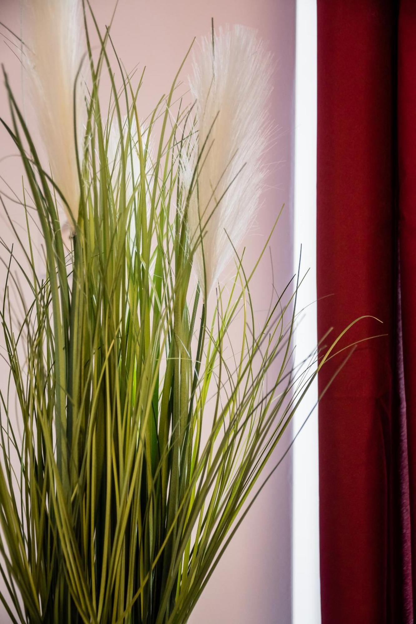 Jm Rooms Lubicz II Krakow Dış mekan fotoğraf